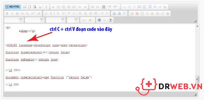 Mẹo dán mã code chống sao chép vào website