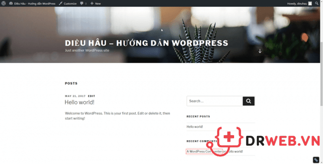 Cài đặt WordPress trên localhost